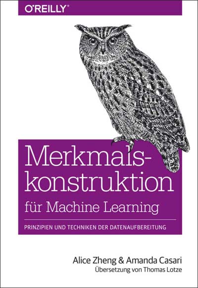 Zheng: Merkmalskonstruktion für Machine Learning