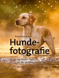 Auerbach: Hundefotografie