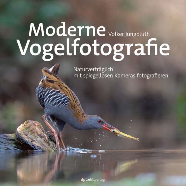 Jungbluth: Moderne Vogelfotografie
