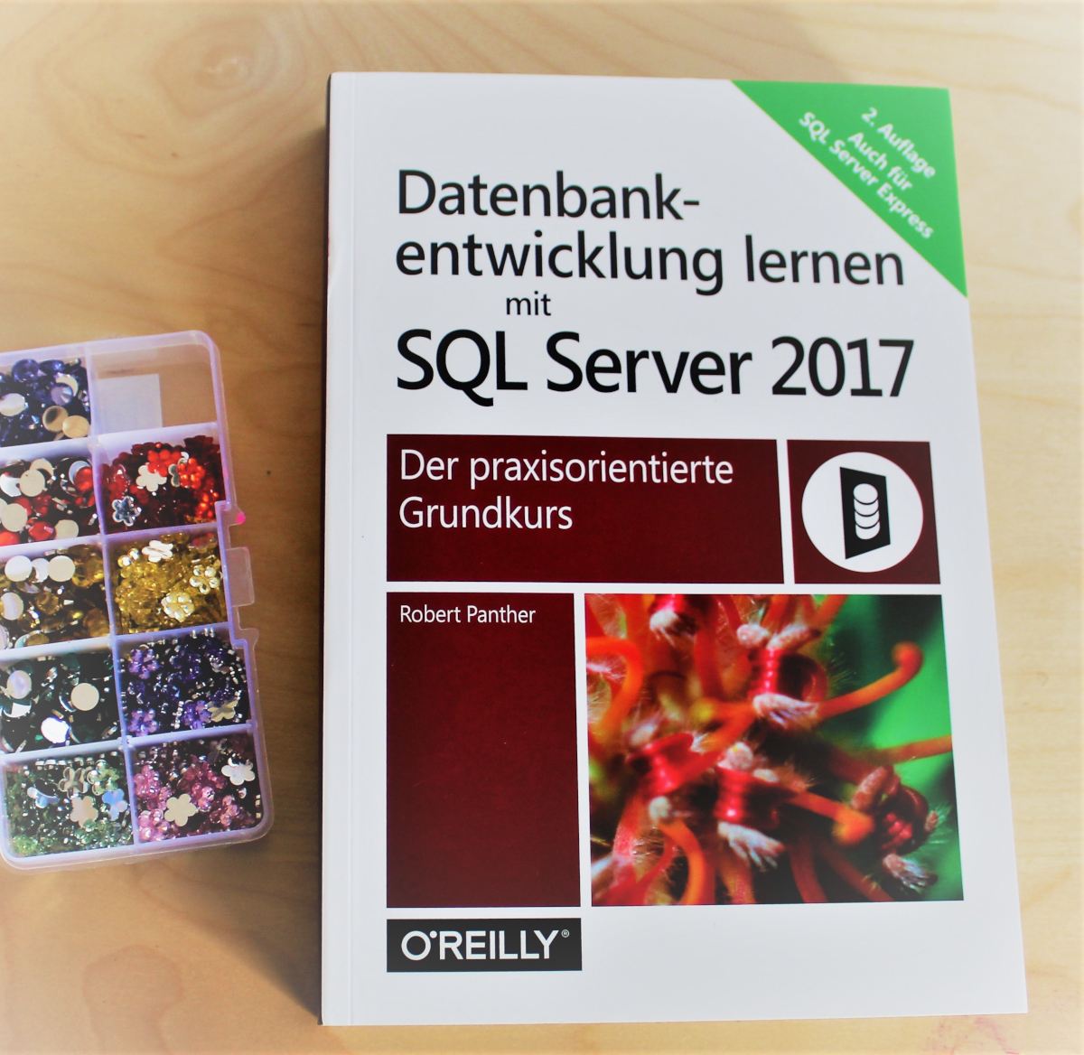 Neuerscheinung: Datenbankentwicklung lernen mit SQL Server 2017
