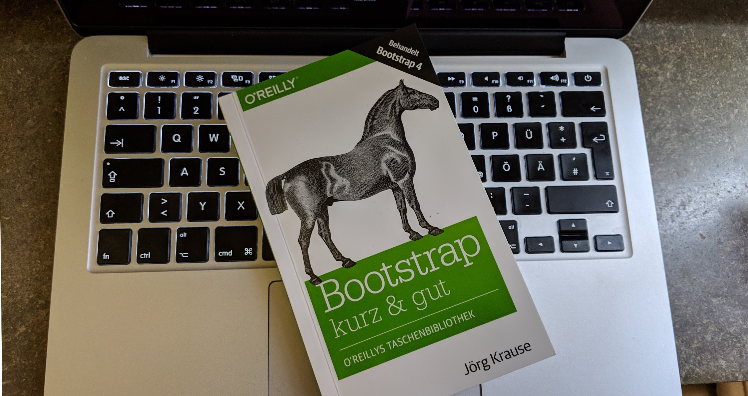 Bootstrap - kurz & gut