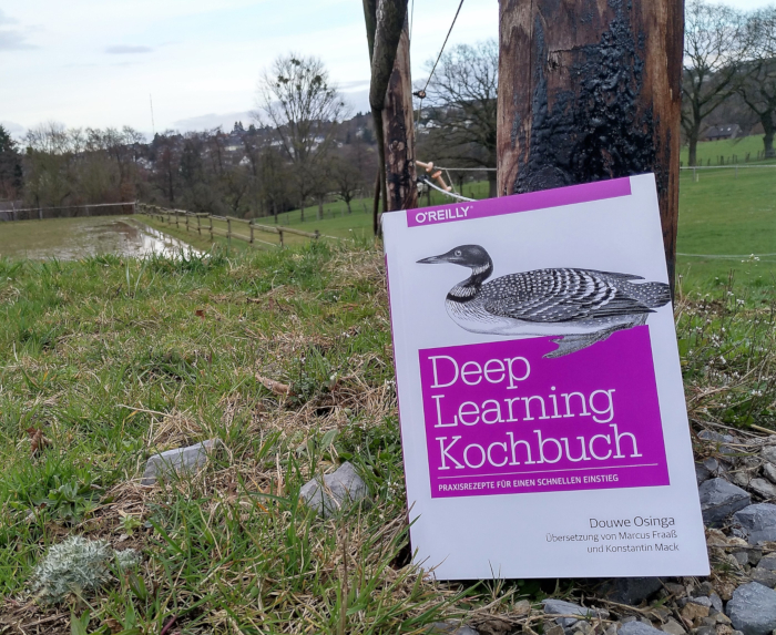 Deep Learning Kochbuch