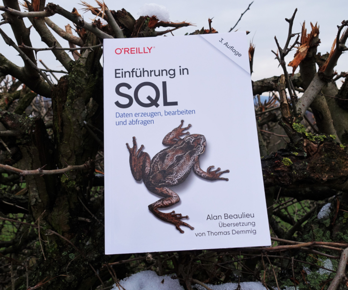 SQL lernen Fachbuch 