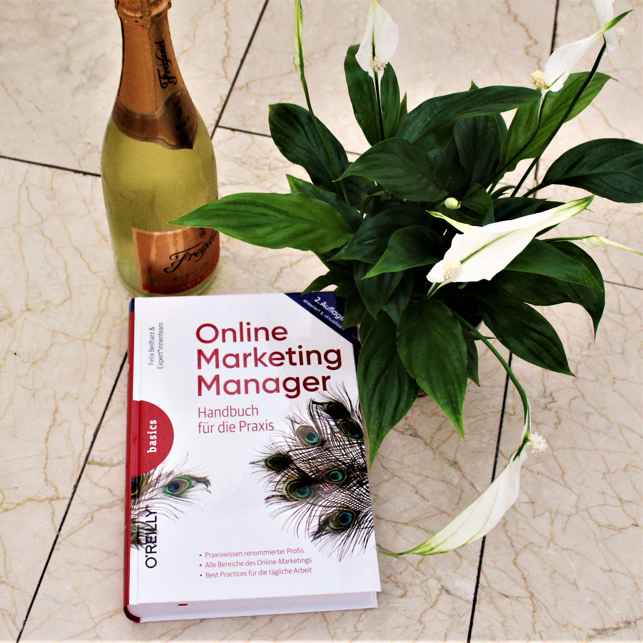 Launch Day: Online Marketing Manager