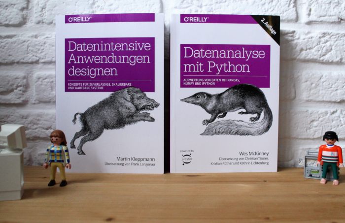 Datenintensive Anwendungen designen, Datenanalyse mit Python