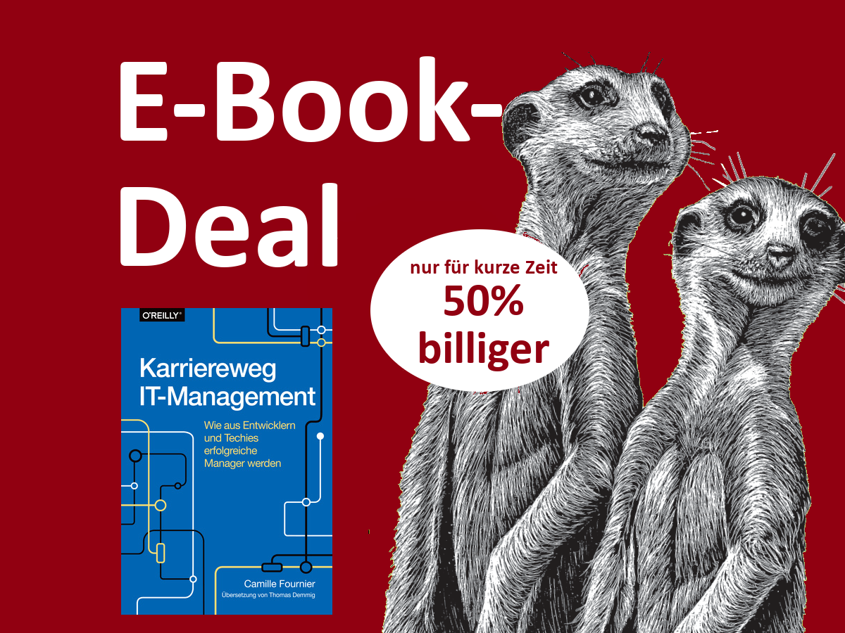 E-Book-Deal: Karriereweg IT-Management