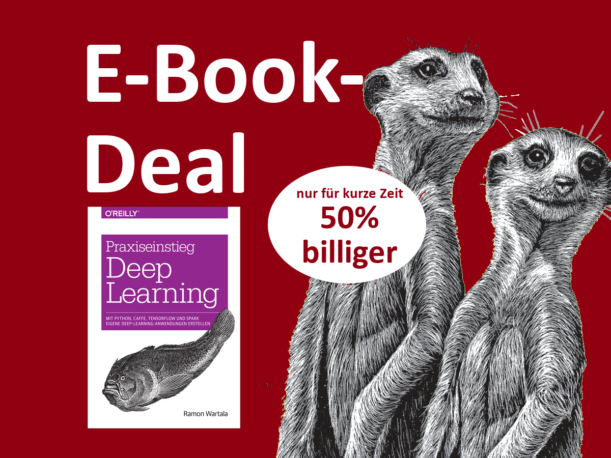 E-Book-Deal: Praxiseinstieg Deep Learning