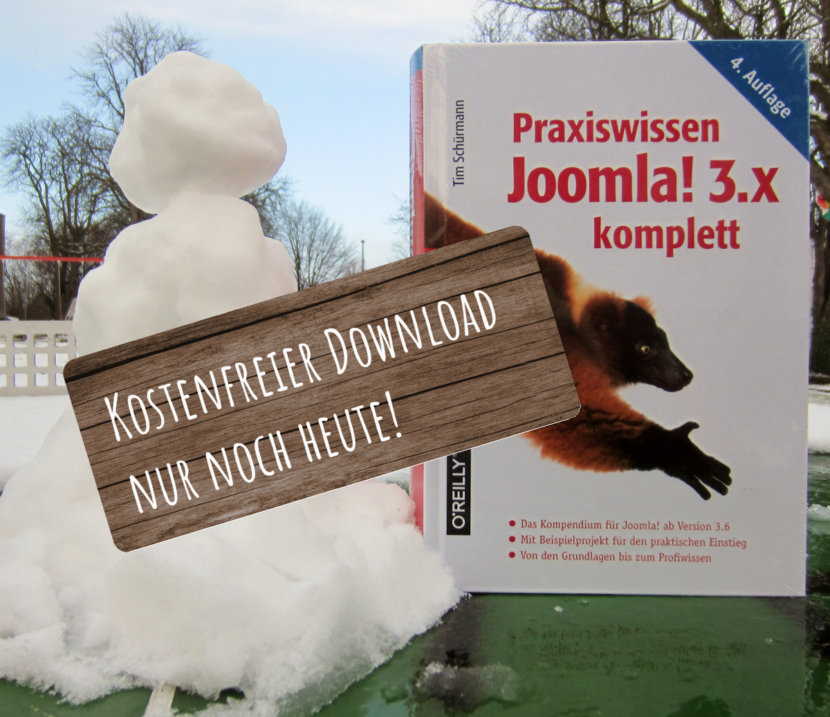 Praxiswissen Joomla! kostenlos herunterladen