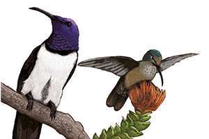 Grafik zu "Flyer O'Reilly 2026"